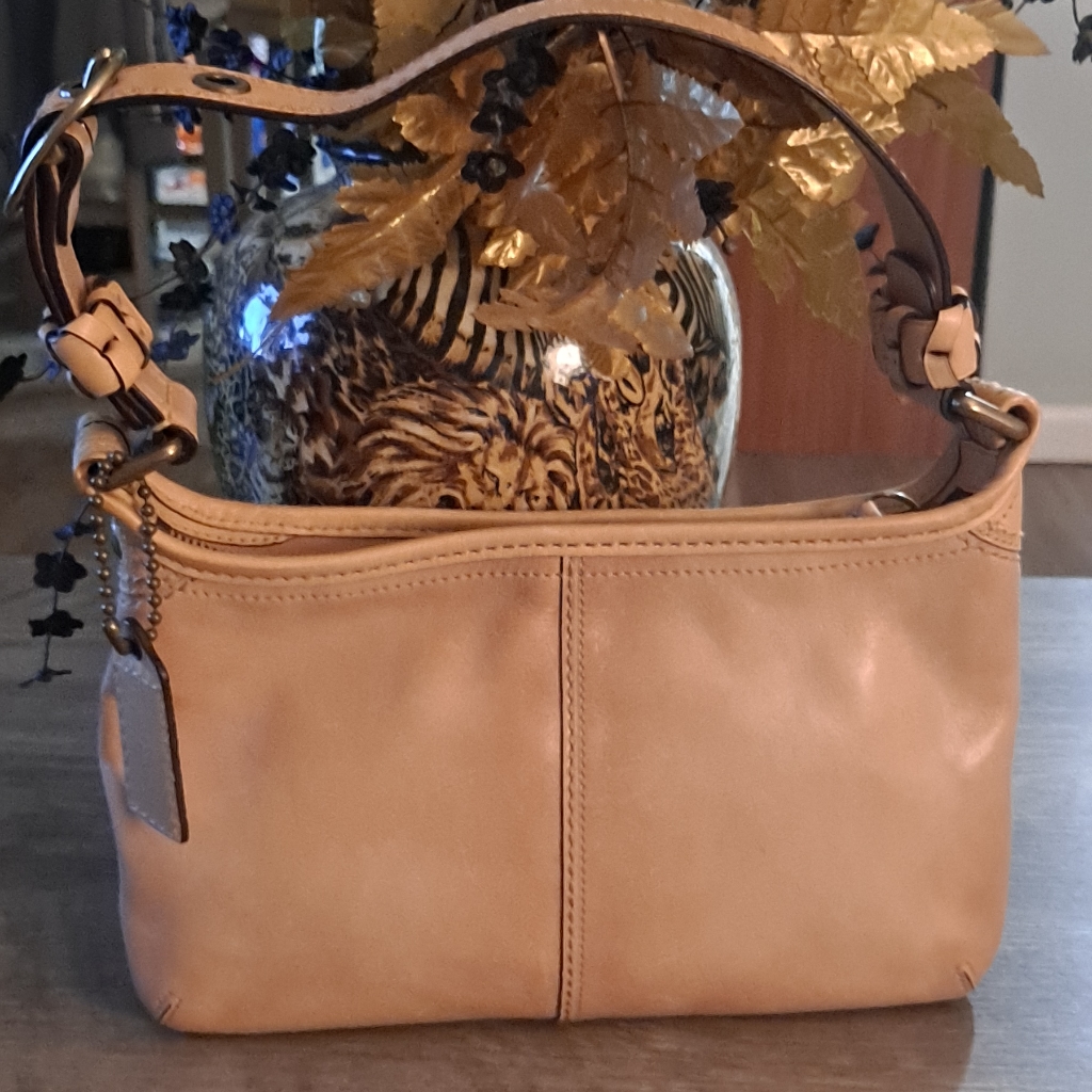 Coach Bleecker Bag